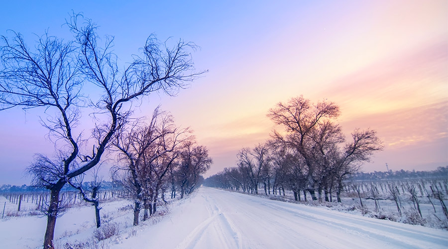 冰雪盛景 · 北疆環(huán)線(xiàn)7日自駕